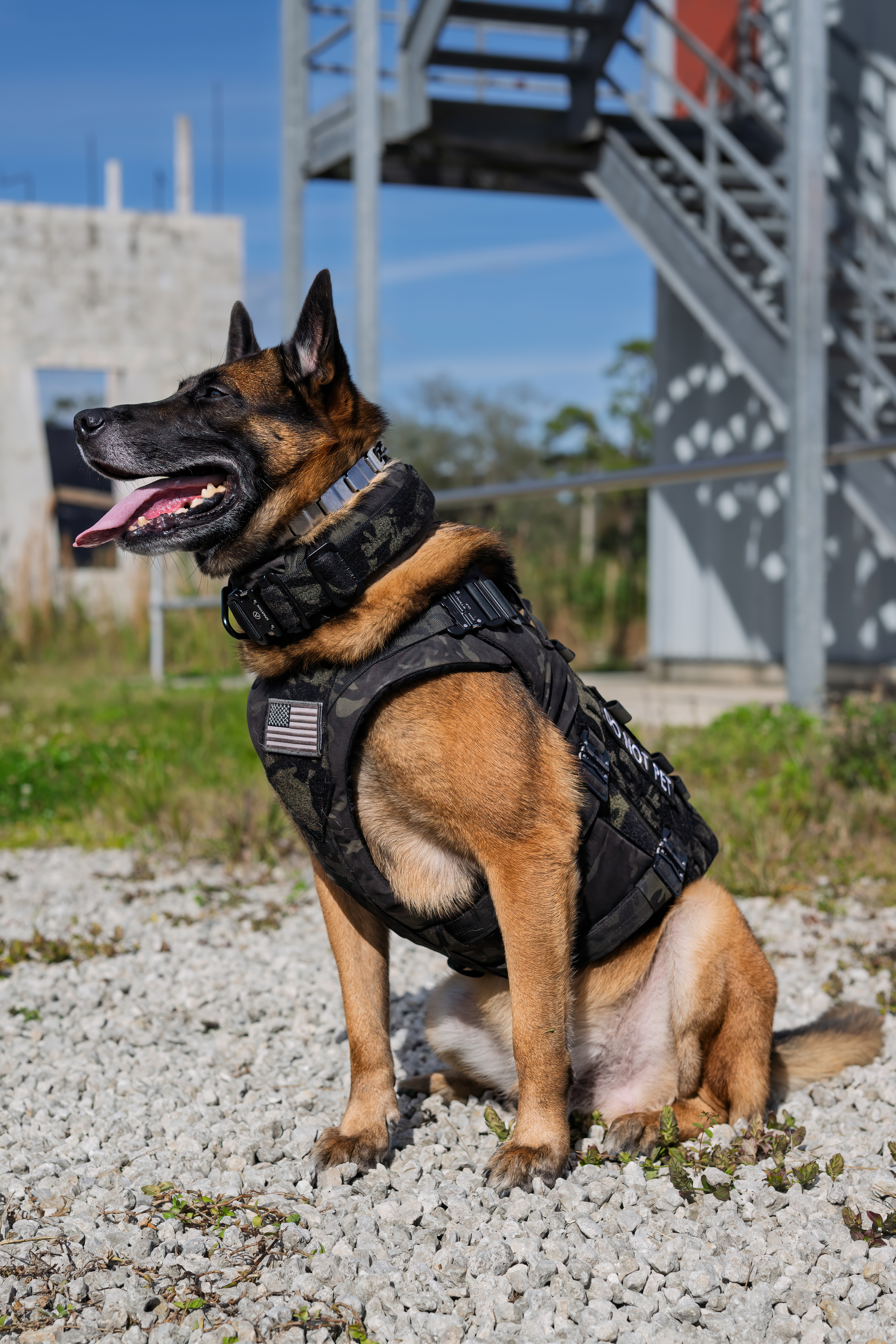 Spartan K9 Athena Ballistic K9 Vest