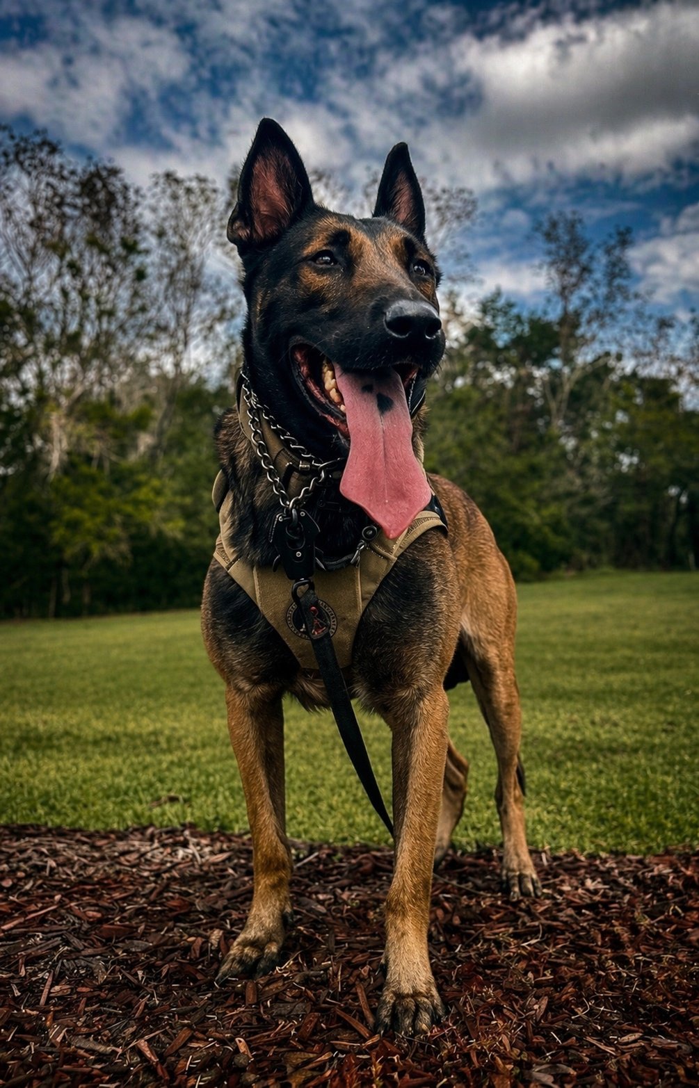 Spartan K9 Hades Tactical Load-Carriage Vest